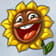 Sonnenblume