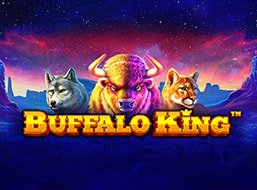 Buffalo King