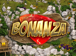 Bonanza slot