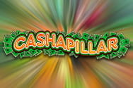 Cashapillar