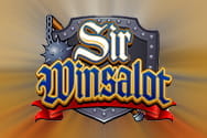 Sir Winsalot